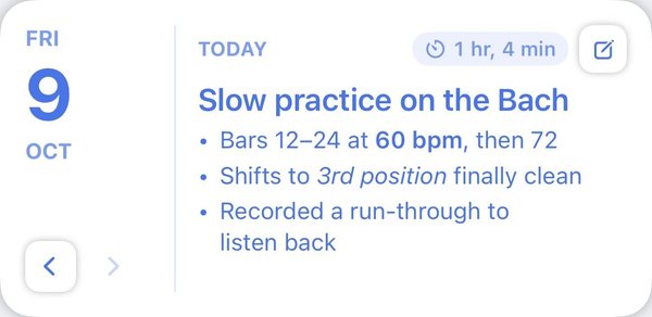 Practice Journal entry for Friday the 9th